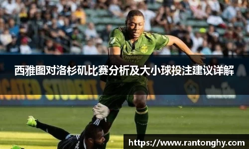 星空.综合体育(中国)官方网站